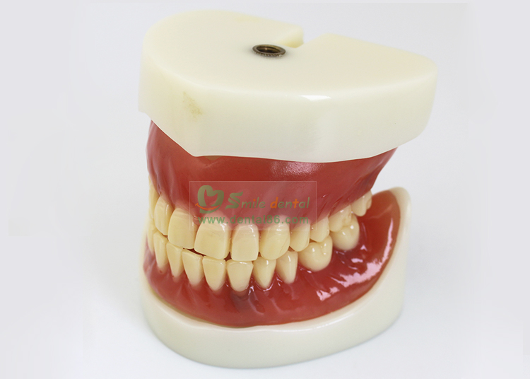 TM-T21 Full Denture Implant Mode